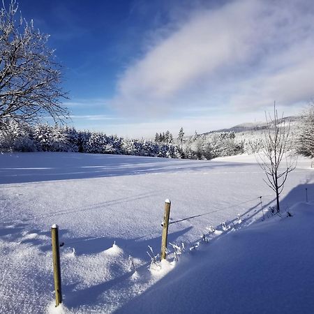 Auszeit, Erholung Mitten In Der Natur - Ferienhaus Im Sauerland In Faulebutter Finnentrop Exteriér fotografie