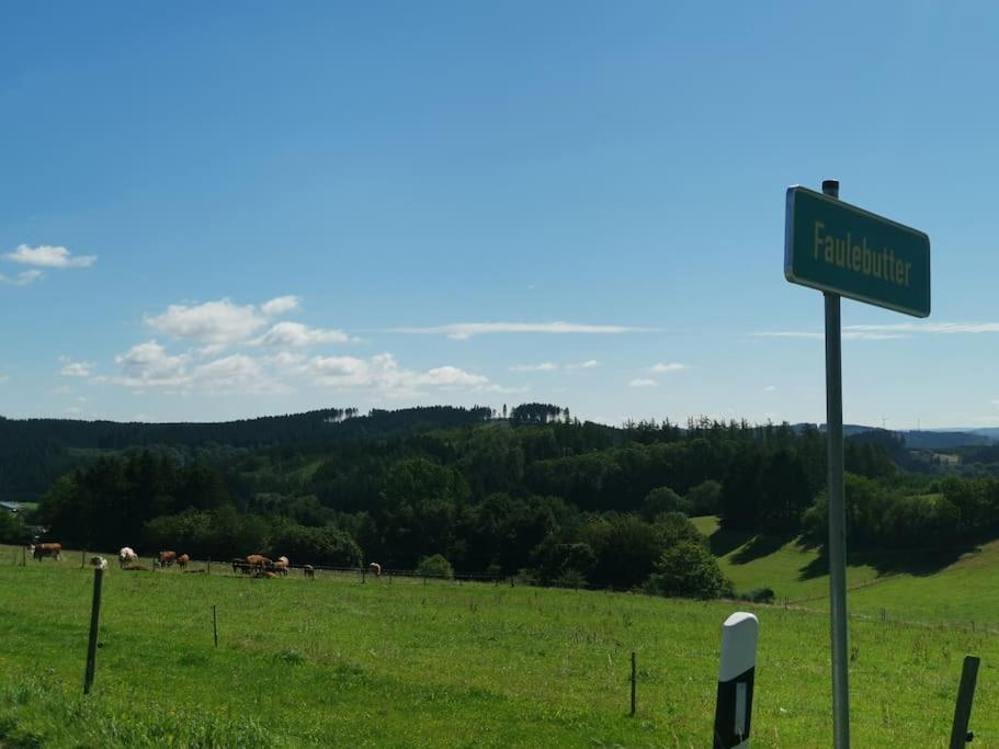 Auszeit, Erholung Mitten In Der Natur - Ferienhaus Im Sauerland In Faulebutter Finnentrop Exteriér fotografie