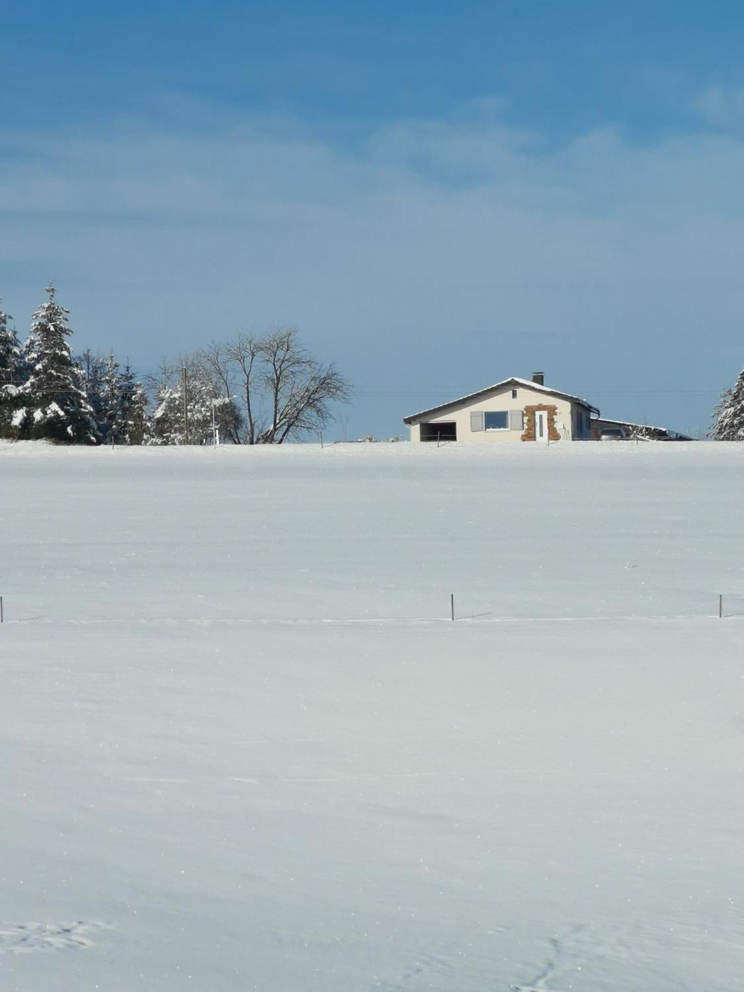 Auszeit, Erholung Mitten In Der Natur - Ferienhaus Im Sauerland In Faulebutter Finnentrop Exteriér fotografie