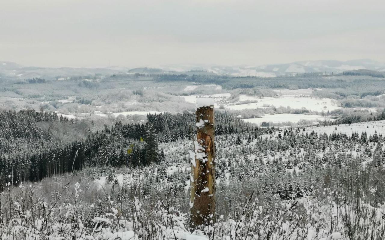 Auszeit, Erholung Mitten In Der Natur - Ferienhaus Im Sauerland In Faulebutter Finnentrop Exteriér fotografie